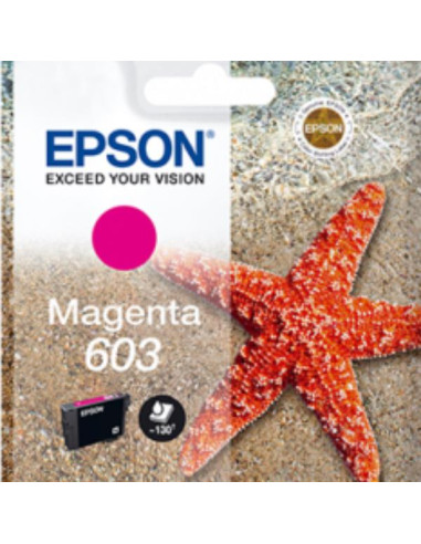 CART INCH MAGENTA  STELLA MARINA