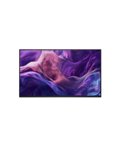 DELL 24 MONITOR NO STAND P2425HWO