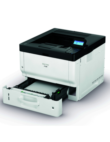 P 501 STAMP LED MONOCROMATICA A4