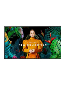 QB75C-N 75P 3840X2160  350CD M2