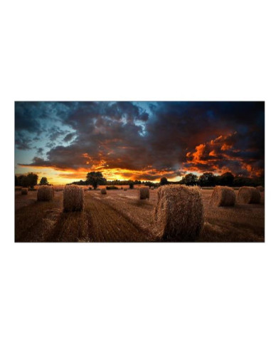 VM46B-U 46  IPS 1920X1080 500 CD M2