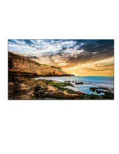 QE50T 50P 3840X2160  300 CD M