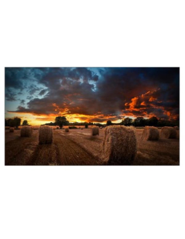 VM55B-U 55  IPS 1920X1080 500 CD M2