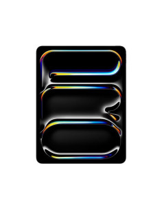 IPAD PRO 13 WI-FI 2TB NANO BLK 