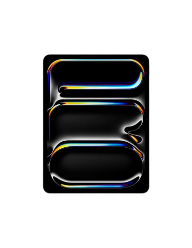 IPAD PRO 13 WIFI-CELL 256GB SLV 