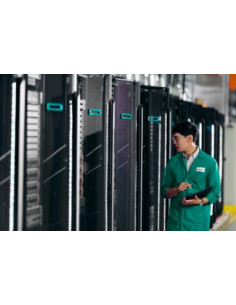 HPE DL36X GEN10  2SFF...