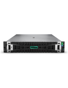 HPE DL380 G11 4510 64G 8SFF...